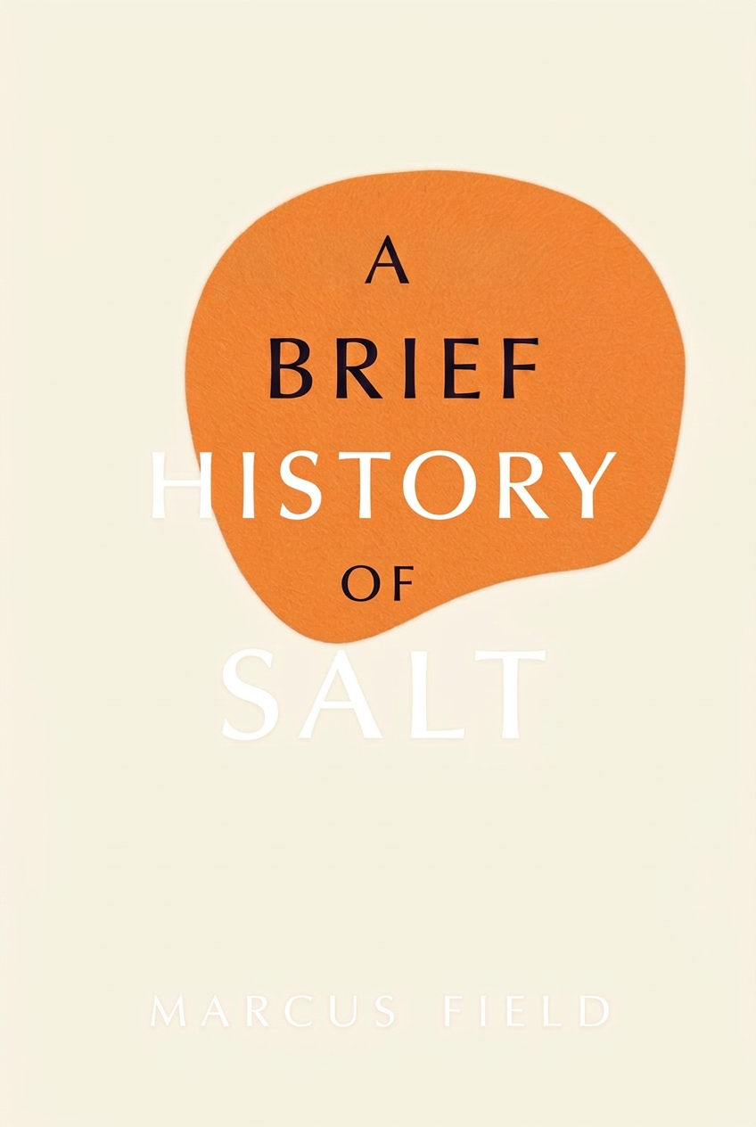 Cover of A Brief History of Salt